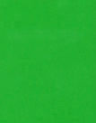 fh_06_darkgreen