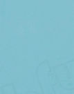 fh_13_skyblue