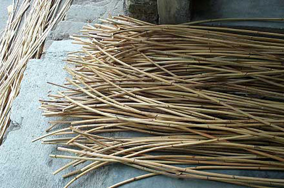 Ротанг