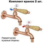 Ясень