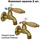 Дуб