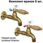 Дуб